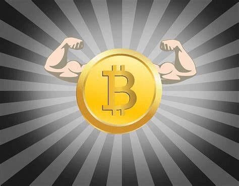 SatoExchange