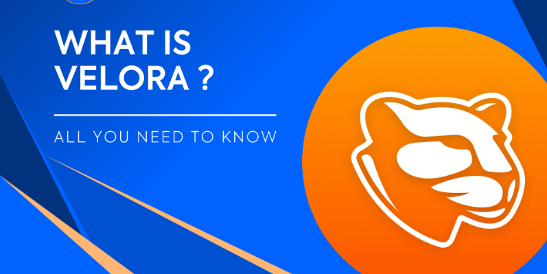 Velora (formerly ParaSwap)