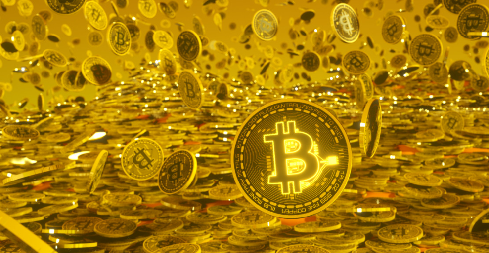 Biometric Authentication