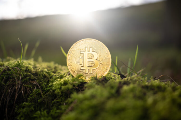 10 Best Crypto Exchanges for Long-Term Crypto Investors