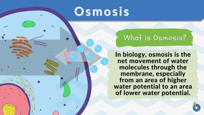 10 Best Osmosis Competitors for Cosmos: Top 10 DEX Alternatives